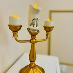 Le Secret De La Belle Et La Bete